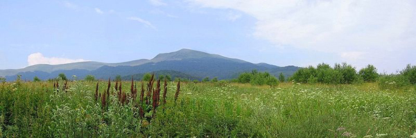 Bieszczady Park Narodowy - Tarnica od strony Wołosateg